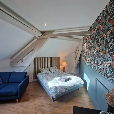Apartment Cozy Train Station Within Walking Distance Libourne